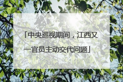 中央巡视期间，江西又一官员主动交代问题