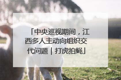 中央巡视期间，江西多人主动向组织交代问题｜打虎拍蝇