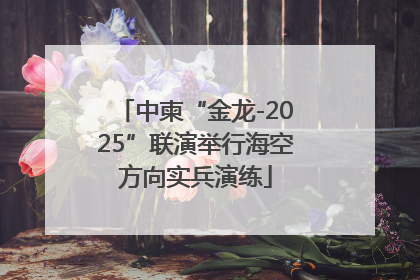 中柬“金龙-2025”联演举行海空方向实兵演练