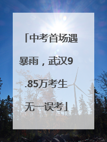 中考首场遇暴雨，武汉9.85万考生无一误考