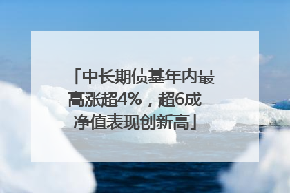 中长期债基年内最高涨超4%，超6成净值表现创新高