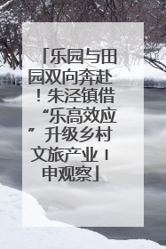 乐园与田园双向奔赴！朱泾镇借“乐高效应”升级乡村文旅产业〡申观察