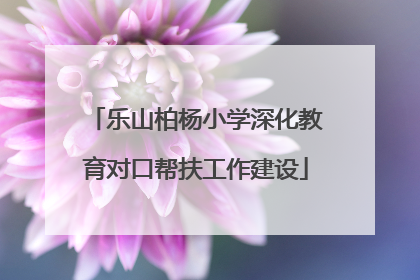 乐山柏杨小学深化教育对口帮扶工作建设