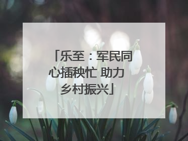 乐至：军民同心插秧忙 助力乡村振兴