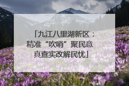 九江八里湖新区：精准“吹哨”聚民意 真查实改解民忧