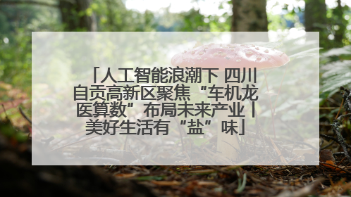 人工智能浪潮下 四川自贡高新区聚焦“车机龙医算数”布局未来产业丨美好生活有“盐”味