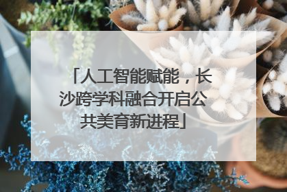 人工智能赋能，长沙跨学科融合开启公共美育新进程