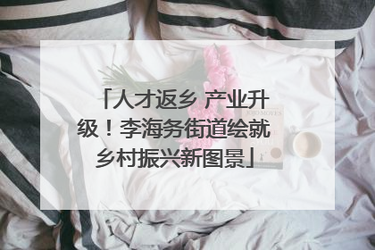 人才返乡 产业升级！李海务街道绘就乡村振兴新图景