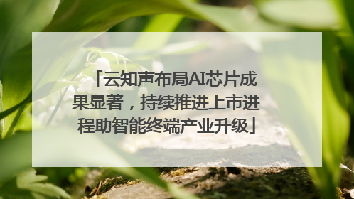云知声布局AI芯片成果显著，持续推进上市进程助智能终端产业升级