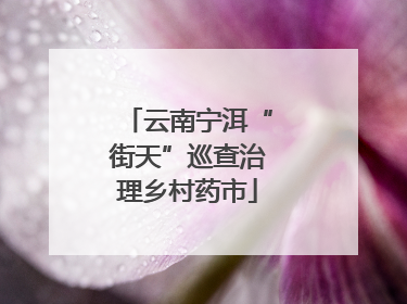 云南宁洱“街天”巡查治理乡村药市