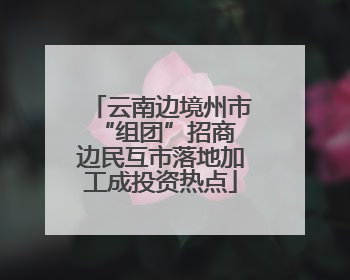 云南边境州市“组团”招商 边民互市落地加工成投资热点