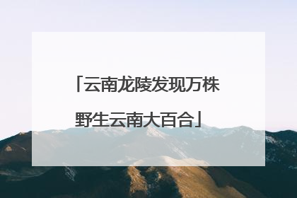云南龙陵发现万株野生云南大百合