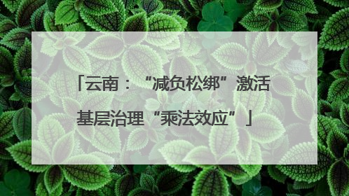 云南：“减负松绑”激活基层治理“乘法效应”