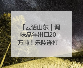云话山东｜调味品年出口20万吨！乐陵连打新“牌”助力企业出海