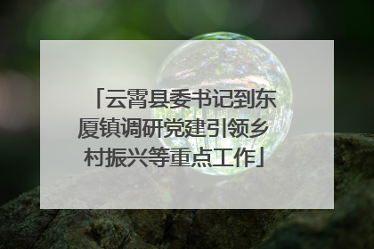 云霄县委书记到东厦镇调研党建引领乡村振兴等重点工作