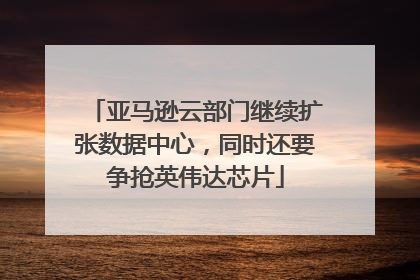 亚马逊云部门继续扩张数据中心，同时还要争抢英伟达芯片