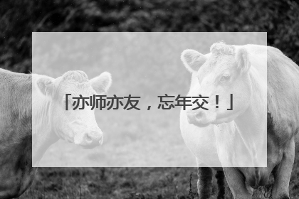 亦师亦友，忘年交！