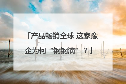 产品畅销全球 这家豫企为何“钢钢滴”？