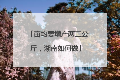 亩均要增产两三公斤，湖南如何做