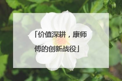 价值深耕，康师傅的创新战役
