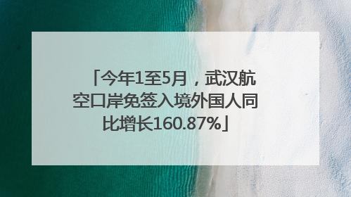 今年1至5月，武汉航空口岸免签入境外国人同比增长160.87%