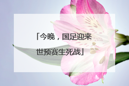 今晚，国足迎来世预赛生死战