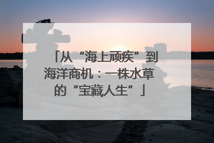 从“海上顽疾”到海洋商机：一株水草的“宝藏人生”