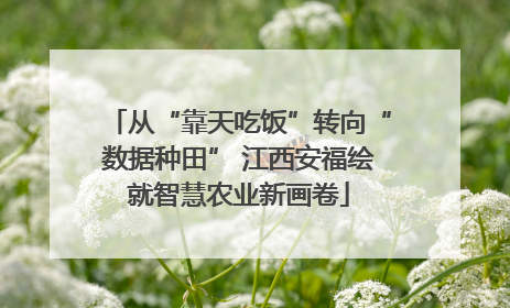从“靠天吃饭”转向“数据种田” 江西安福绘就智慧农业新画卷