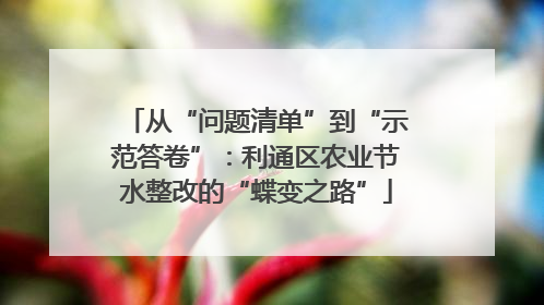 从“问题清单”到“示范答卷”：利通区农业节水整改的“蝶变之路”