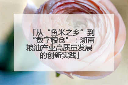 从“鱼米之乡”到“数字粮仓”：湖南粮油产业高质量发展的创新实践