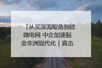 从买深海鳀鱼到建微电网 中企加速掘金非洲现代化｜直击中非经贸博览会