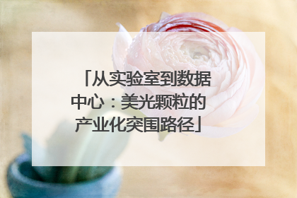 从实验室到数据中心：美光颗粒的产业化突围路径