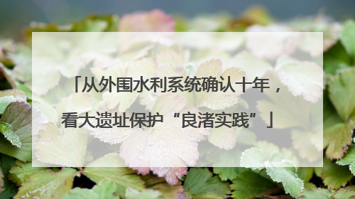 从外围水利系统确认十年，看大遗址保护“良渚实践”