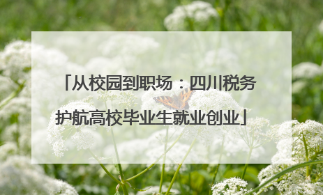 从校园到职场：四川税务护航高校毕业生就业创业