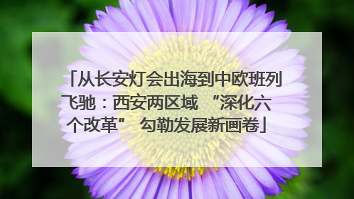 从长安灯会出海到中欧班列飞驰：西安两区域 “深化六个改革” 勾勒发展新画卷