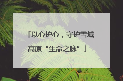 以心护心，守护雪域高原“生命之脉”