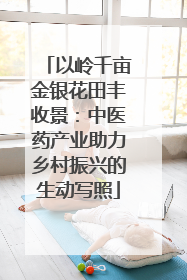 以岭千亩金银花田丰收景：中医药产业助力乡村振兴的生动写照