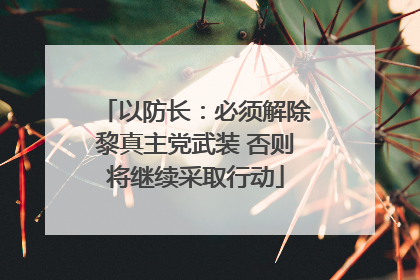 以防长：必须解除黎真主党武装 否则将继续采取行动