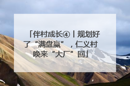 伴村成长④丨规划好了“满盘赢”，仁义村唤来“大厂”回
