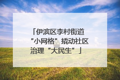 伊滨区李村街道 “小网格”撬动社区治理“大民生”