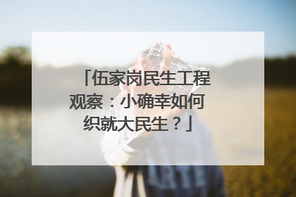 伍家岗民生工程观察：小确幸如何织就大民生？