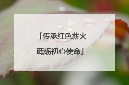 传承红色薪火 砥砺初心使命