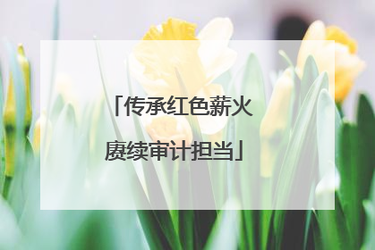 传承红色薪火 赓续审计担当
