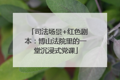 司法场景+红色剧本：博山法院里的一堂沉浸式党课