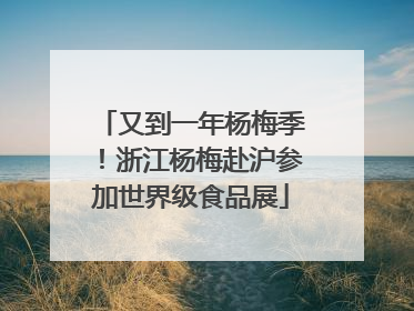 又到一年杨梅季！浙江杨梅赴沪参加世界级食品展