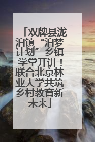 双牌县泷泊镇“泊梦计划”乡镇学堂开讲！联合北京林业大学共筑乡村教育新未来