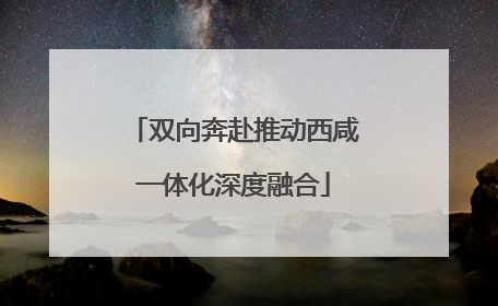 双向奔赴推动西咸一体化深度融合