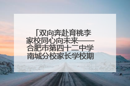 双向奔赴育桃李 家校同心向未来——合肥市第四十二中学南城分校家长学校期末总结会圆满召开