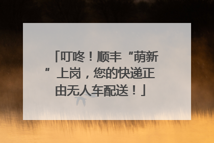 叮咚！顺丰“萌新”上岗，您的快递正由无人车配送！