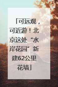 可远观，可近游！北京这处“水岸花园”新建62公里花墙